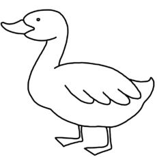 ente2.jpg